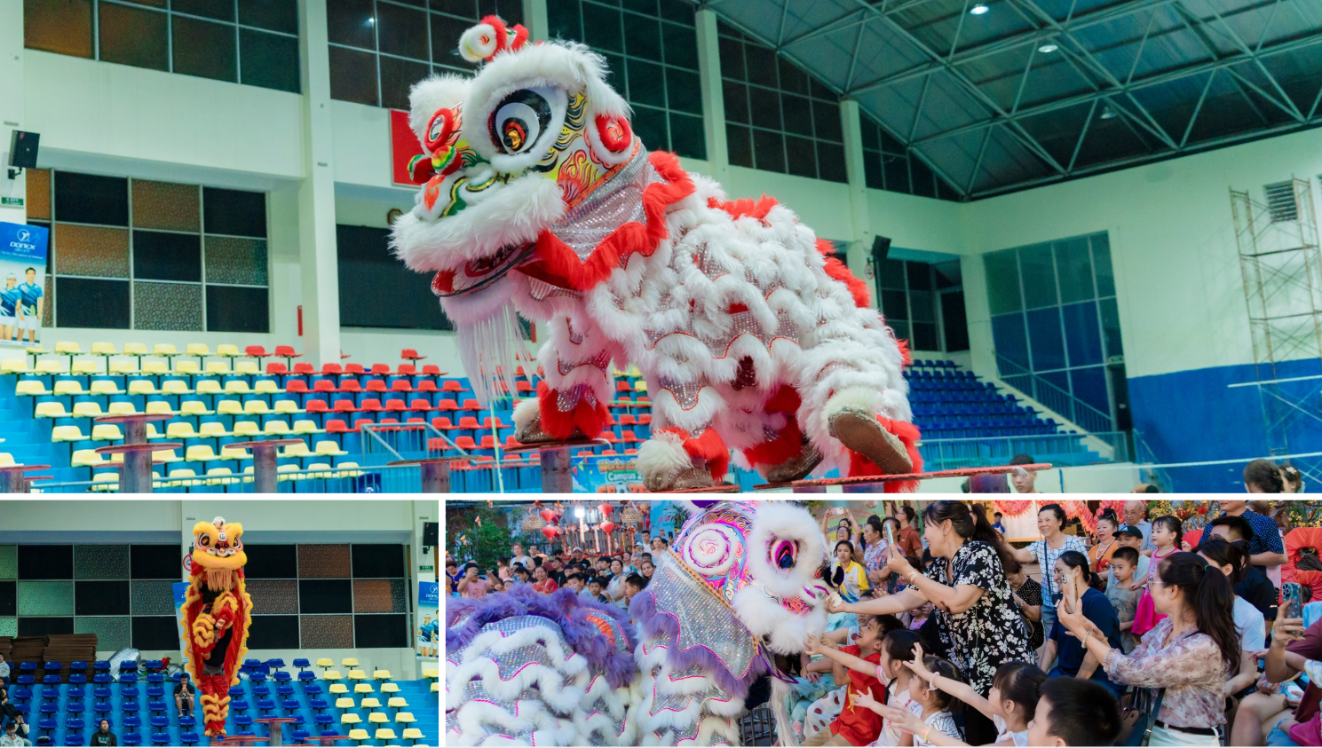Biến năng lượng cày game thành đôi chân thoăn thoắt trên dàn mai hoa thung